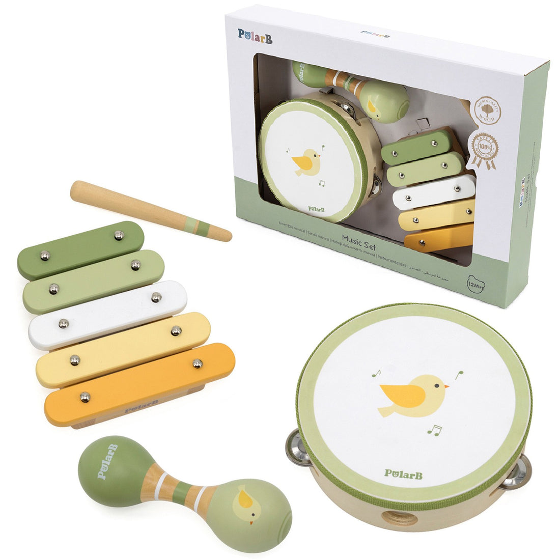 VIGA PolarB Zestaw Instrumentów Muzycznych Z Ptaszkiem